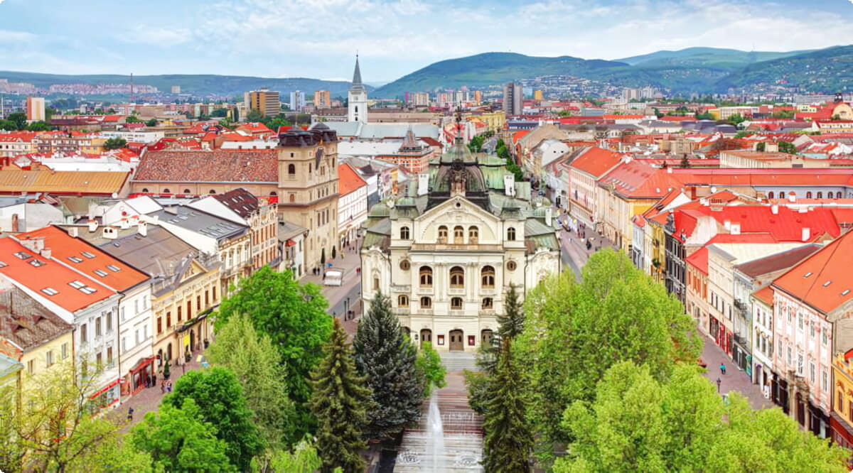 Onze autoverhuurservices bieden een gevarieerde selectie van voertuigen in Košice.